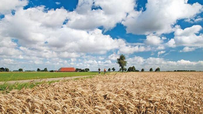Größere Steigungen sind Fehlanzeige - das platte Land ist ein Paradies für Radfahrer.