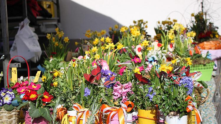 Bunte Blumen sind der Hingucker im Frühling.