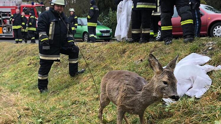 Die Feuerwehr Kronach rettete zwei Rehe. Foto: Stefan Wicklein