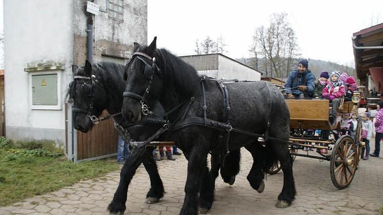 Begeistert wurde Norbert Ebert von den Kindern empfangen, er kutschierte sie durch den Ort.