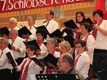 Der Gesangsverein Harmonie Neuhaus begeisterte sein Publikum.  Fotos: Johanna Blum