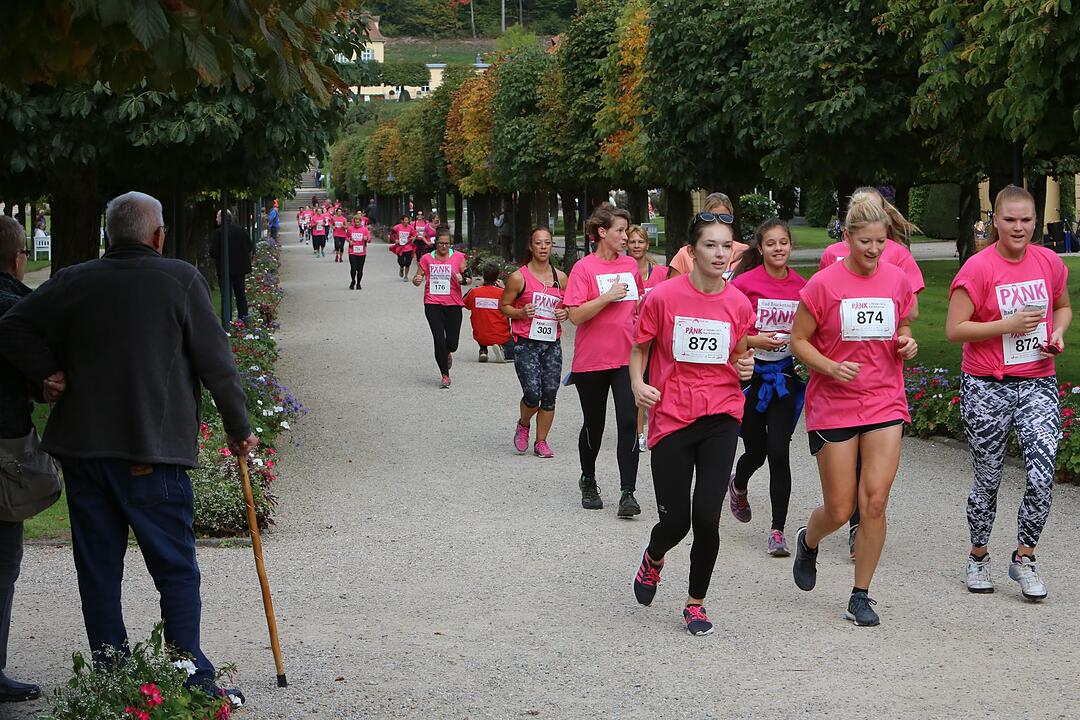 Pinklauf 2015