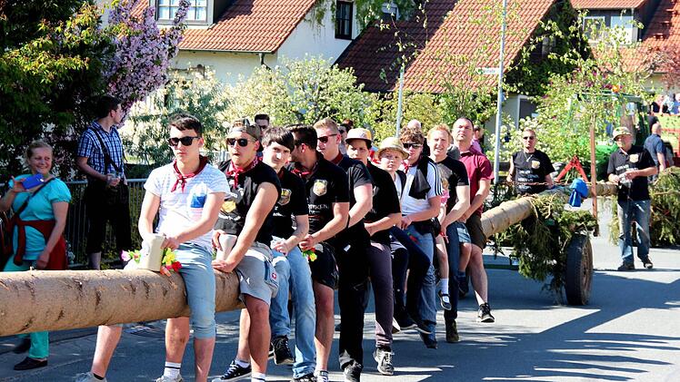 Die Kerwaburschen gönnten sich eine letzte Pause, bevor sie die 29 Meter lange Fichte wieder in die Senkrechte brachten. Foto: Johanna Blum