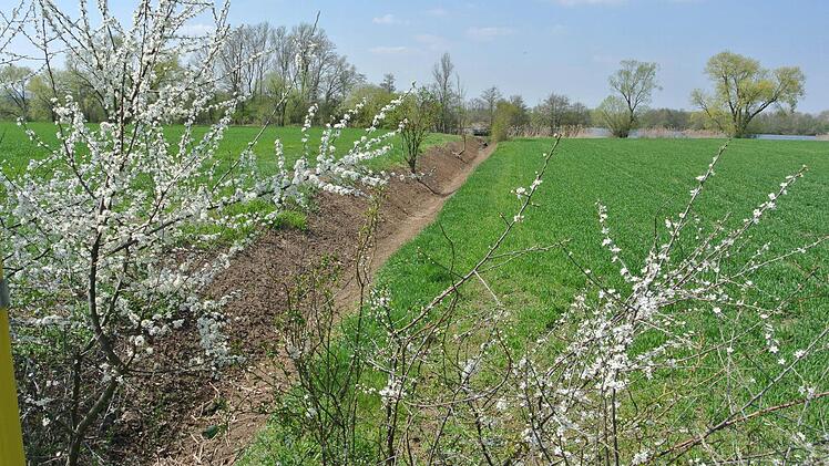 Ein weiterer Graben rechts der Straße von Zeil nach Sand soll Wasser ableiten. Die Situation hier will man genau im Auge behalten.  Fotos: kra