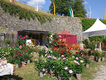 Rosen- und Gartenmesse in Kronach: Das erwartet die Besucher am Wochenende