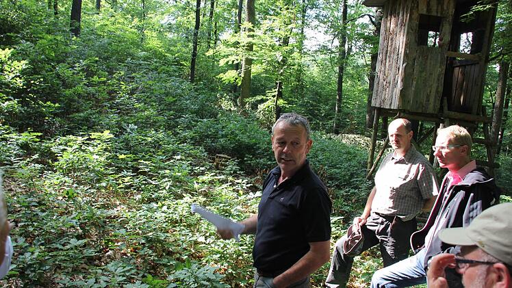 Beispielhafter Wuchs - im Schatten des Jägerstandes.
