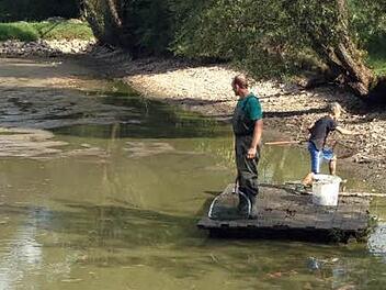 Am Wochenende wurde der Fischteich neben der Bahnstrecke bei Gundelsdorf abgelassen. Foto: privat