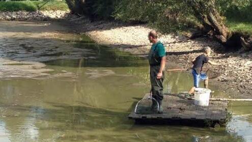 Am Wochenende wurde der Fischteich neben der Bahnstrecke bei Gundelsdorf abgelassen. Foto: privat
