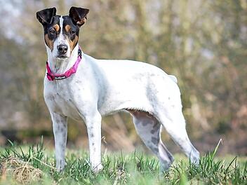 Elina in ihrem Element Foto: privat