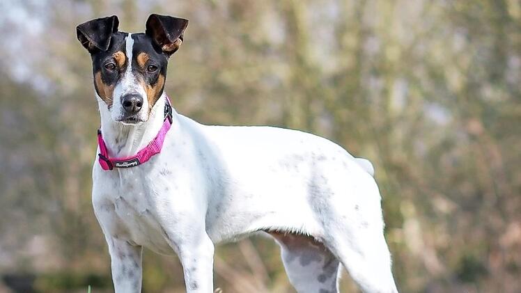 Elina in ihrem Element Foto: privat