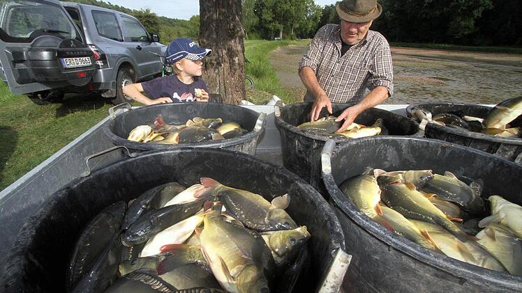 Felix erkundigt sich bei Stefan Dengler was mit den Karpfen passiert. Foto: Michael Busch