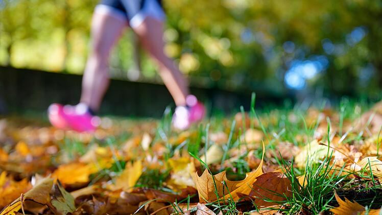 Vors&auml;tze f&uuml;r 2026