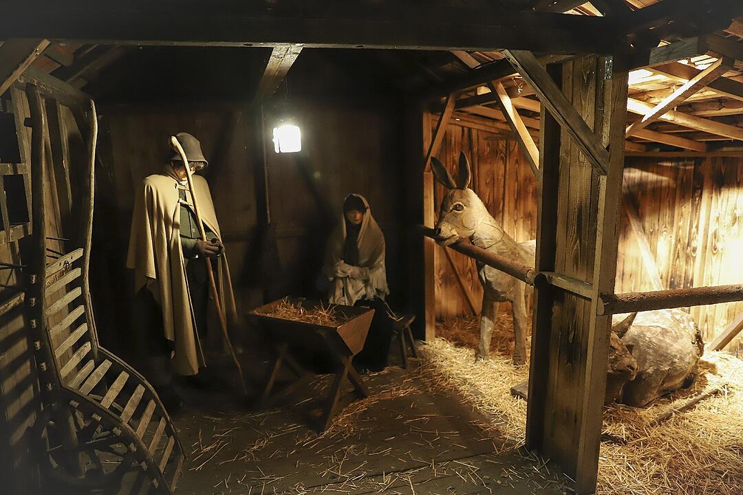 Über 100 Aussteller waren vor Ort.