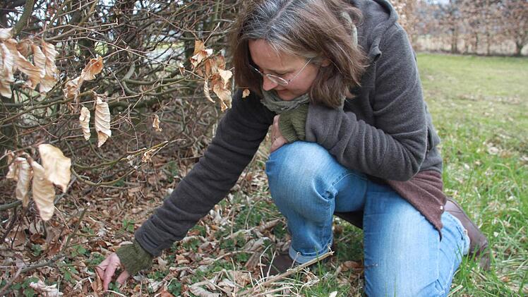 "Wie bei einer Katze", sagt Sabine Simeoni, wenn sie erklären muss, wie man eine Brennnessel so anfasst, dass sie eben nicht brennt. Von außen nach oben streichen, ein wenig in den Händen kneten und dann kann man sie auch gefahrlos roh essen.  Foto: Anja Greiner