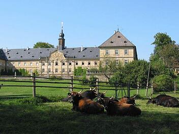 Foto: Archiv/Kathrin Rögner