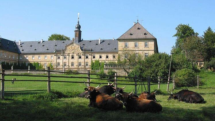 Foto: Archiv/Kathrin Rögner