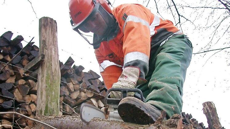 Die Holznutzung in einem Nationalpark ist noch ein Punkt, an dem Probleme befürchtet werden.  Foto: Jörg Taron/dpa