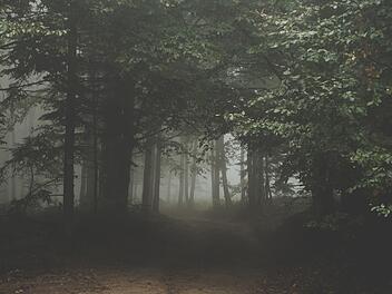 Sagen und Mythen: Wie gut kennst Du Dich mit der schaurigen Seite Frankens aus?
