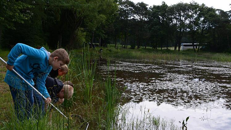 Schüler lernen Lebensräume von Amphibien kennen, hier an den Waizenbacher Teichen.  Foto: Elisabeth Assmann