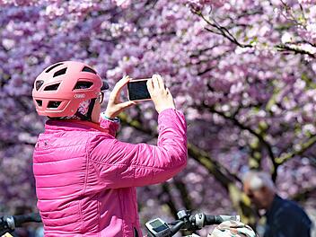 Wilder Wetter-Mix am Wochenende: Dieser Tag ist f&uuml;r Ausfl&uuml;ge ideal