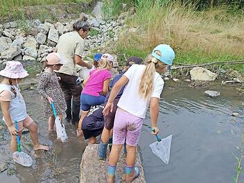 Kita-KInder erkunden die Welt der Aurach.