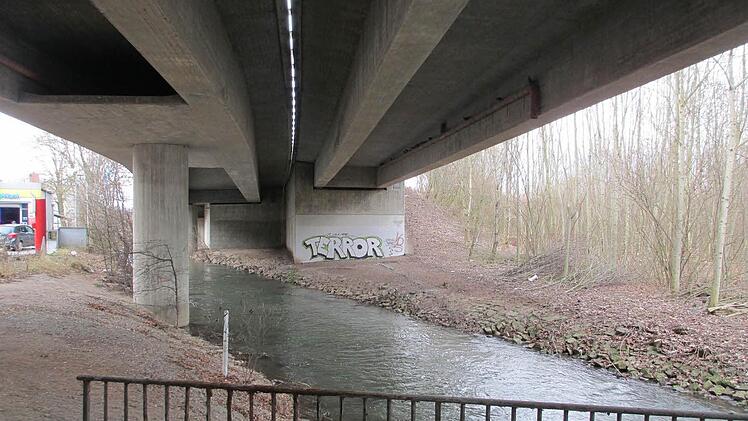 Zwischen den Bäumen neben der Stadtautobahn (siehe auch Lageplan unten) hatten die Jugendlichen Mitte der 90er Jahre den getöteten Obdachlosen vergraben. Nach dem Hinweiseines Tatbeteiligten bargen Spezialisten im Februar 2014 das Skelett des Mannes. Foto: Tageblatt-Archiv/Ulrike Nauer