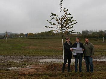 Am Ostrand von Pettstadt wurde eine Ausgleichsfläche für eine große Logistikhalle naturnah angesät und bepflanzt. Naturschutzreferent Klaus Then, Bürgermeister Jochen Hack und Landschaftsgärtner Oliver Prell sehen den Grünordnungsplan verwirklicht. Foto: Werner Baier