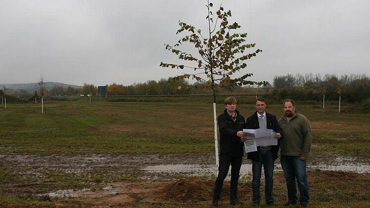 Am Ostrand von Pettstadt wurde eine Ausgleichsfläche für eine große Logistikhalle naturnah angesät und bepflanzt. Naturschutzreferent Klaus Then, Bürgermeister Jochen Hack und Landschaftsgärtner Oliver Prell sehen den Grünordnungsplan verwirklicht. Foto: Werner Baier