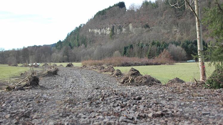 Foto: Friedwald Schedel