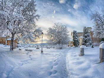 Das Santuario della Madonna degli Angeli in Cuneo ist ein bedeutendes religi&ouml;ses und historisches Wahrzeichen, das am Ende des historischen Viale degli Angeli liegt. Die Urspr&uuml;nge des Heiligtums reichen bis ins 15. Jahrhundert zur&uuml;ck, als auf dem Gel&auml;nde eine kleine Kapelle errichtet wurde. Diese wurde sp&auml;ter zu einem Franziskanerkloster ausgebaut und ist bekannt f&uuml;r ihre kunstvollen Dekorationen, darunter eine achteckige Kuppel mit Fresken, die die Madonna Assunta und Engelsfiguren darstellen. Das Heiligtum beherbergt die Reliquien des Beato Angelo Carletti, einem Schutzpatron von Cuneo, sowie die des Venerabile Benigno da Cuneo. Es dient nicht nur als Ort der Andacht, sondern auch als Schauplatz kultureller Veranstaltungen. Der angrenzende Rosengarten und das Panorama mit Blick auf die Bisalta-Berge machen das Santuario zus&auml;tzlich zu einem beliebten Ziel f&uuml;r Spazierg&auml;nge und Pilgerreisen.
