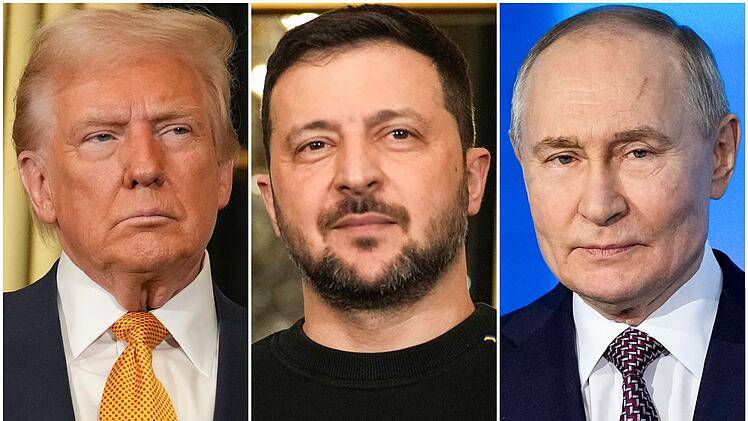 Trump - Selenskyj - Putin