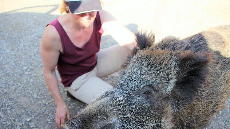 Rosalie liebt Streicheleinheiten. Das Wildschwein scheint regelrecht zu grinsen, wenn Valeska Roos es krault. Diana Fuchs