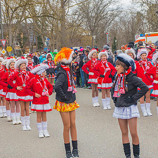 Wildes Faschingstreiben in Allersberg!