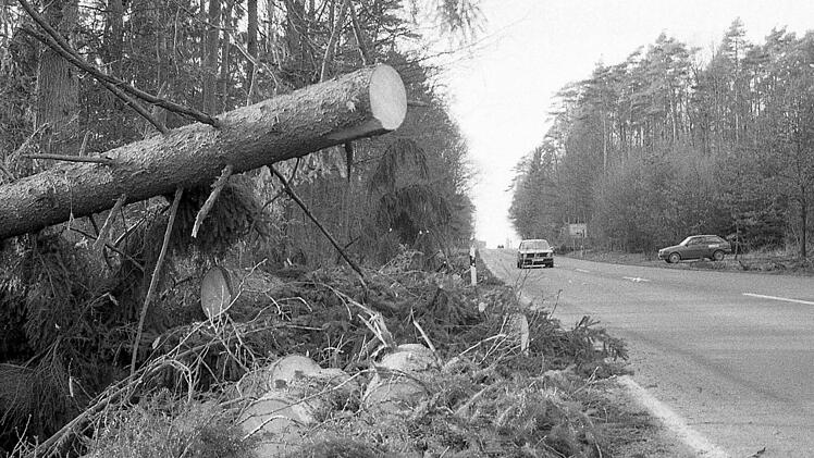Sturmschäden. Fotos: Archiv Saale-Zeitung