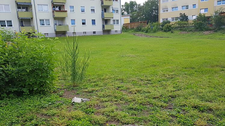 Zwei Wohnhäuser wird die Wohnungsbaugenossenschaft Gewog auf dieser Brachfläche in der Käsröthe bauen. Foto: Ekkehard Roepert
