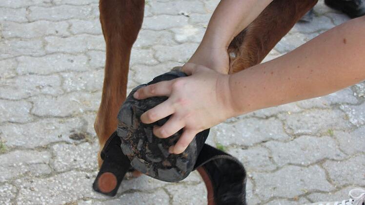 Hufschuh aus Gummi statt Eisen