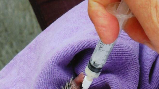 Repro: Barbara Herbst