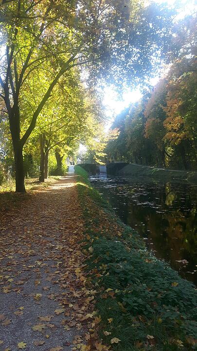 Die schönsten Herbstfotos aus Nürnberg und Umgebung
