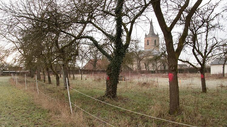 1000 Bürger in Eggolsheim haben unterschrieben, damit dieser Grüngürtel erhalten bleibt. Foto: Josef Hofbauer