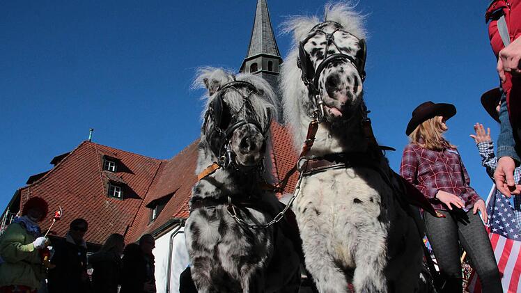 Faschingszug Forchheim Foto: Josef Hofbauer