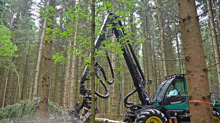 Jürgen Lindlein demonstrierte im Wald mit dem Harvester wie heute Bäume gefällt, entrindet und gesägt werden. Foto: Gabi Arnold