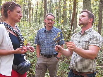 Zahlreiche Fragen der Exkursionsteilnehmer konnte Betriebsleiter Matthias Wallrab im Wald bei Gauaschach beantworten.  Foto: Oswald Türbl