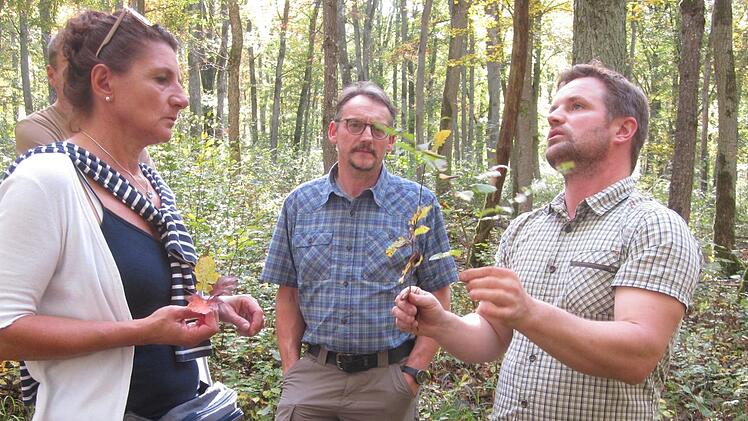 Zahlreiche Fragen der Exkursionsteilnehmer konnte Betriebsleiter Matthias Wallrab im Wald bei Gauaschach beantworten.  Foto: Oswald Türbl