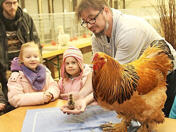 Vorsitzender Steffen Stumpf zeigt den Kindern ein Küken. Foto: Michael Stelzner