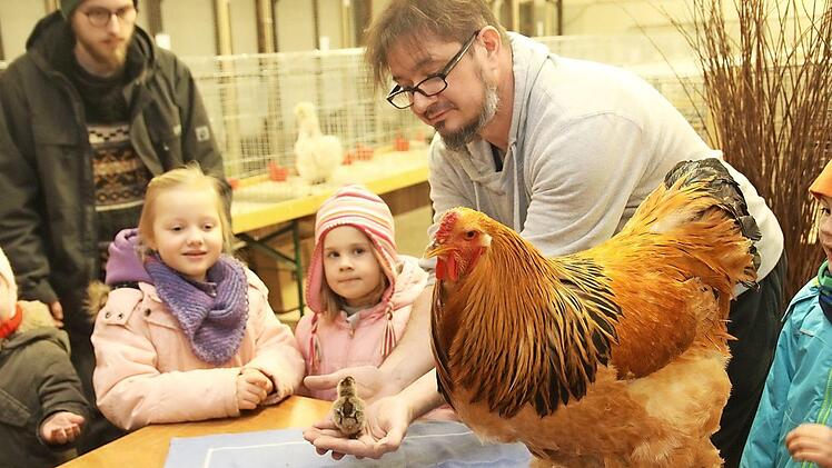Vorsitzender Steffen Stumpf zeigt den Kindern ein Küken. Foto: Michael Stelzner
