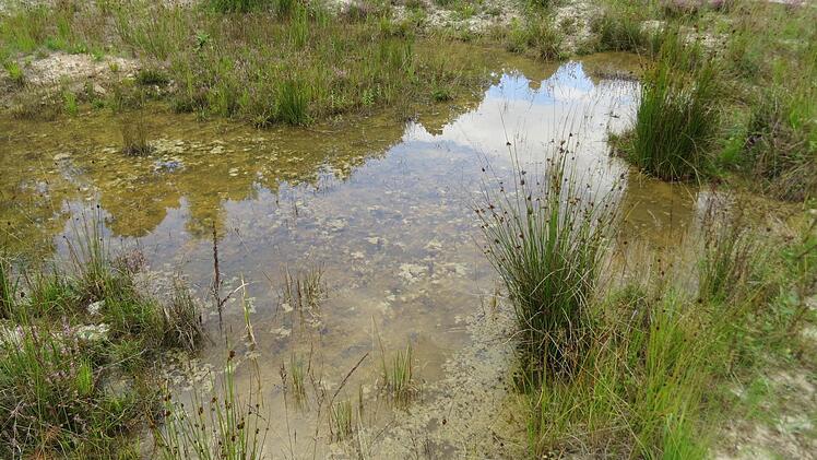 Foto: Stephan Neumann