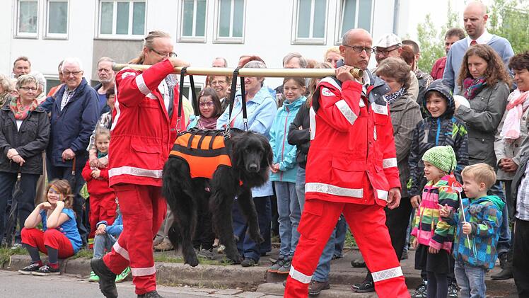 Trageübungen gehören zur Ausbildung und zum Training der Rettungshundestaffel. Dabei soll das absolute Vertrauen des Hundes zu seinem Hundeführer geschult werden. Im Einsatz müssen Rettungshunde in unwegsamen Gelände nämlich auch mal getragen werden. Fotos: Michael Will