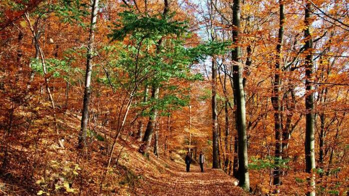 Userfoto: Dieter Hübner