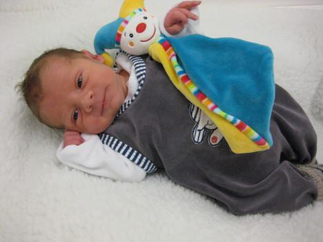 Babygalerie 146