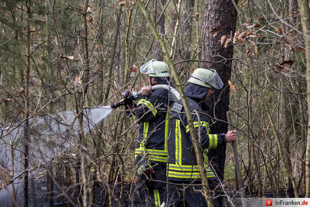 3000 Quadratmeter Waldboden standen in FlammenFeuerwehr hatte Lage schnell unter Kontrolle – Feuerwehr gibt Tipps für richtiges Verhalten im Wald aufgrund der Waldbrandgefahr